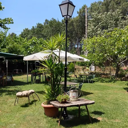 Campsite Camping-bungalows-cabanas La Vera *