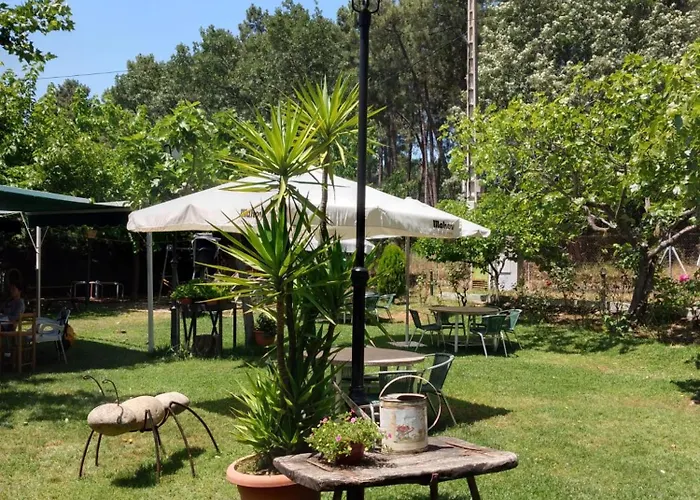 Camping Camping-bungalows-cabañas La Vera *